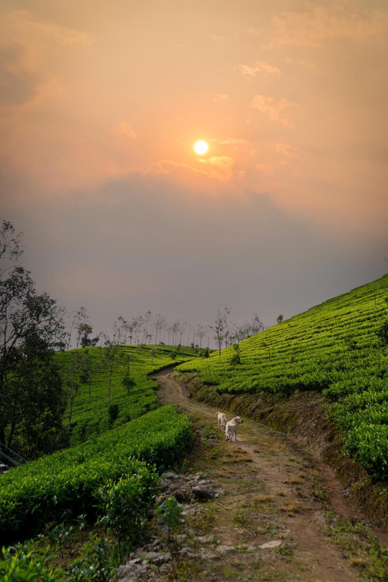 Camelot Resort Munnar Exterior photo